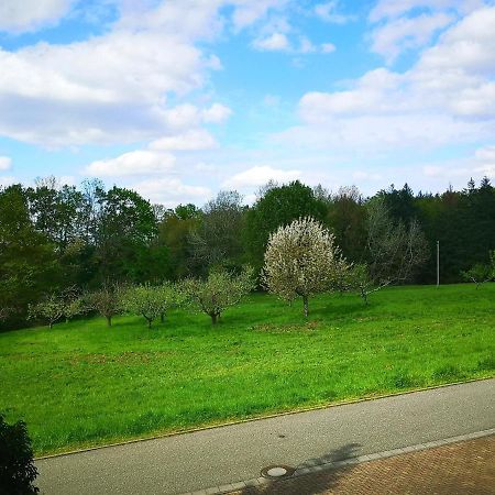 Ein Appartement Und Ein Komfortzimmer In Malsch, Zwischen Karlsruhe, Rastatt Und Baden-Baden Malsch  Exteriér fotografie